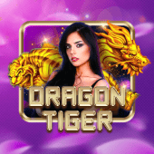Dragon Tiger boom99 app live casino icon